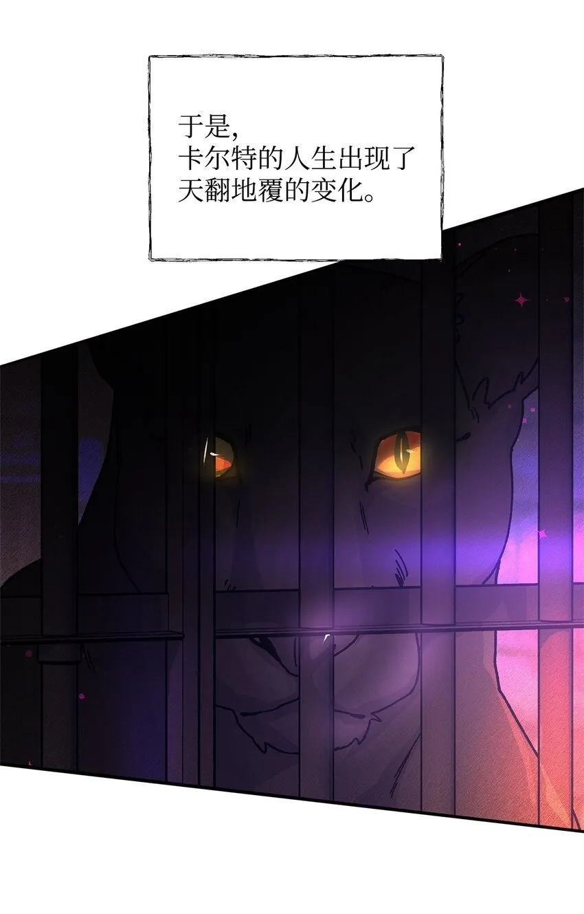 15 奖励 第50页
