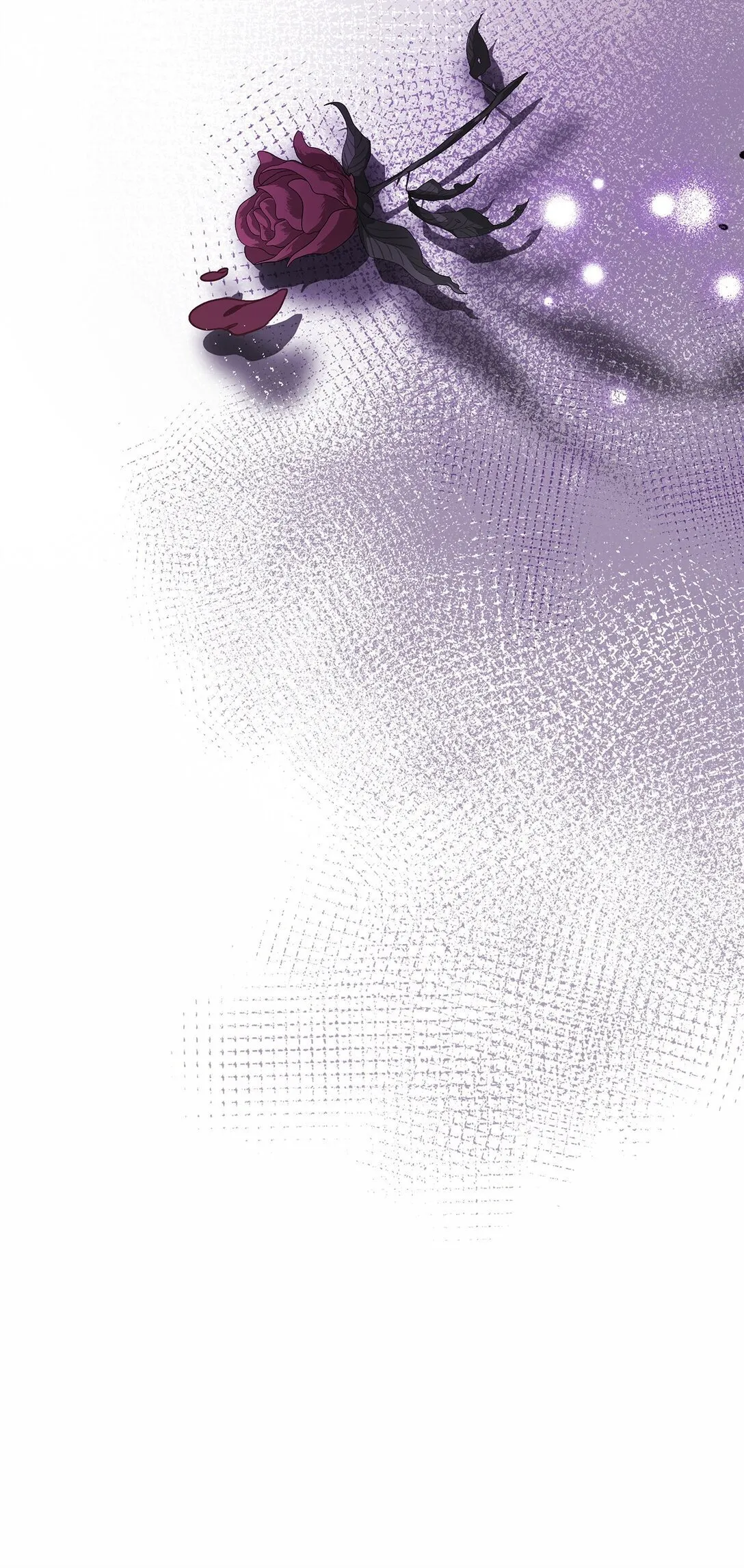 40 皇帝的邀请 第88页