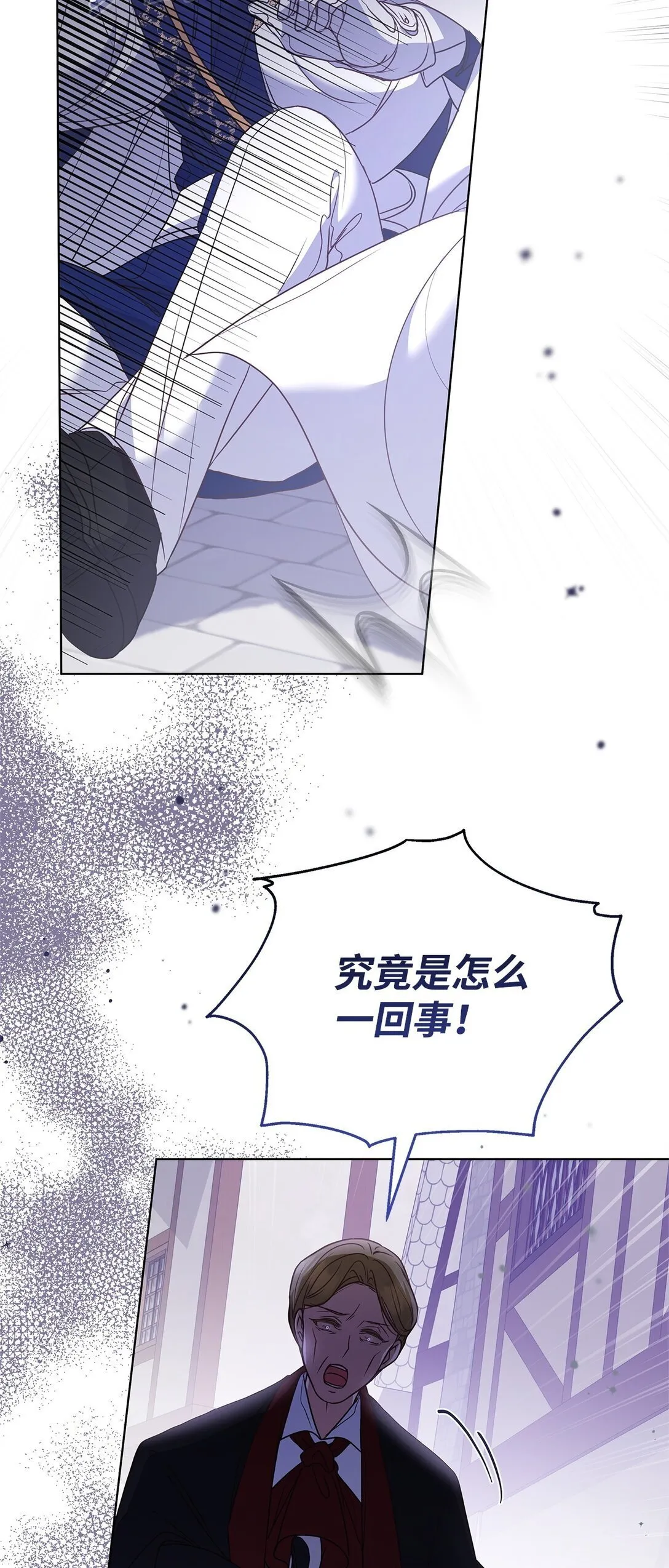 52 行动当天 第61页
