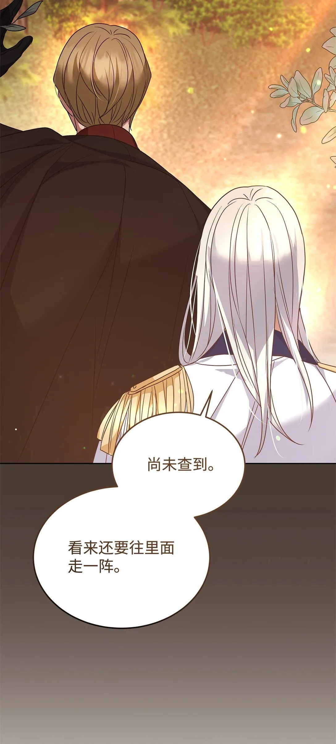 52 行动当天 第71页