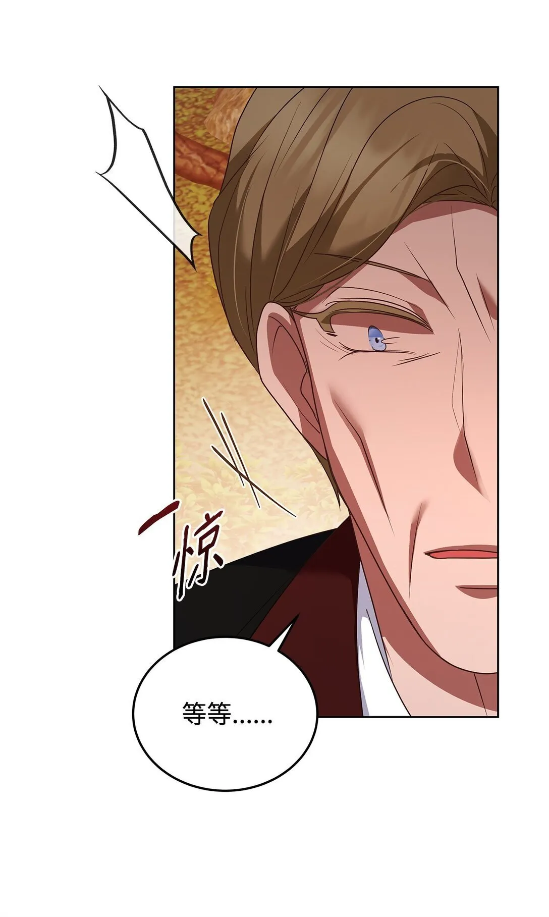 52 行动当天 第73页