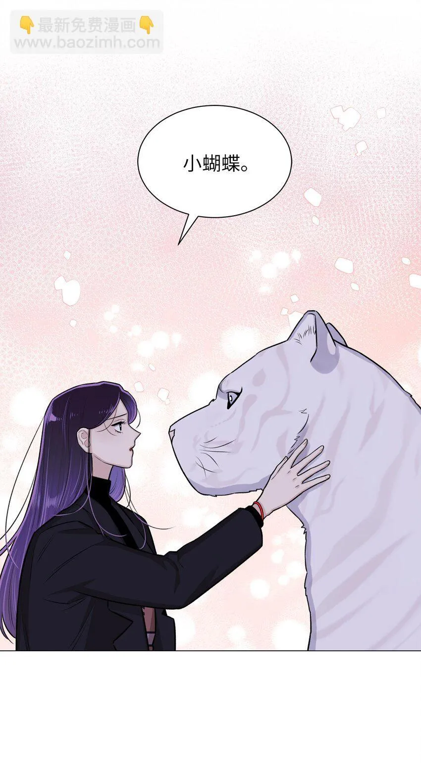 30 老虎？ 第62页