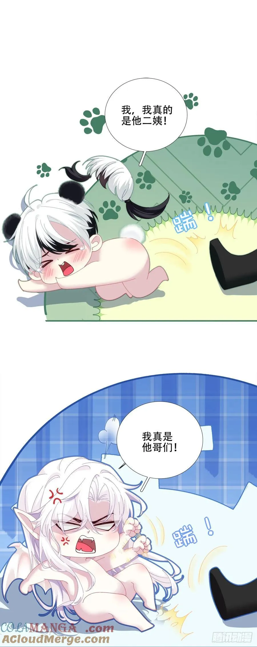 小熊猫寻夫！ 第11页