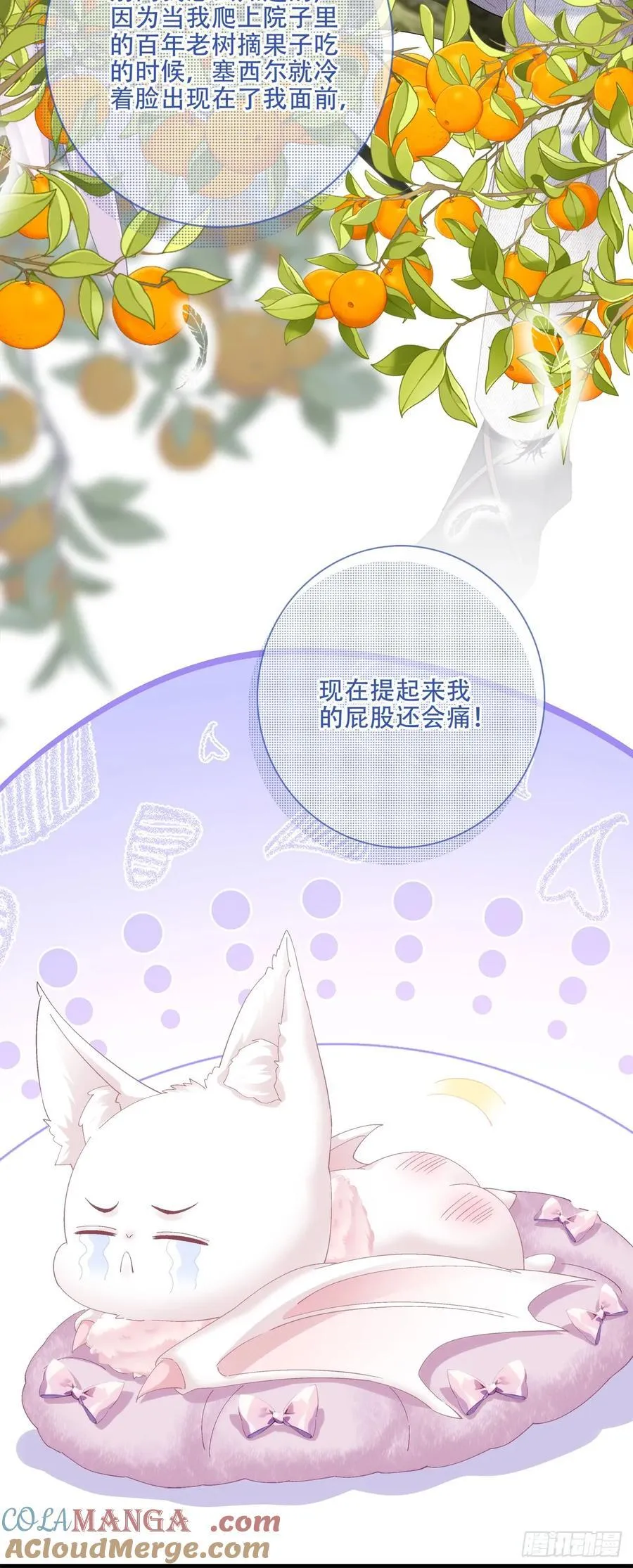 “捉奸！” 第7页