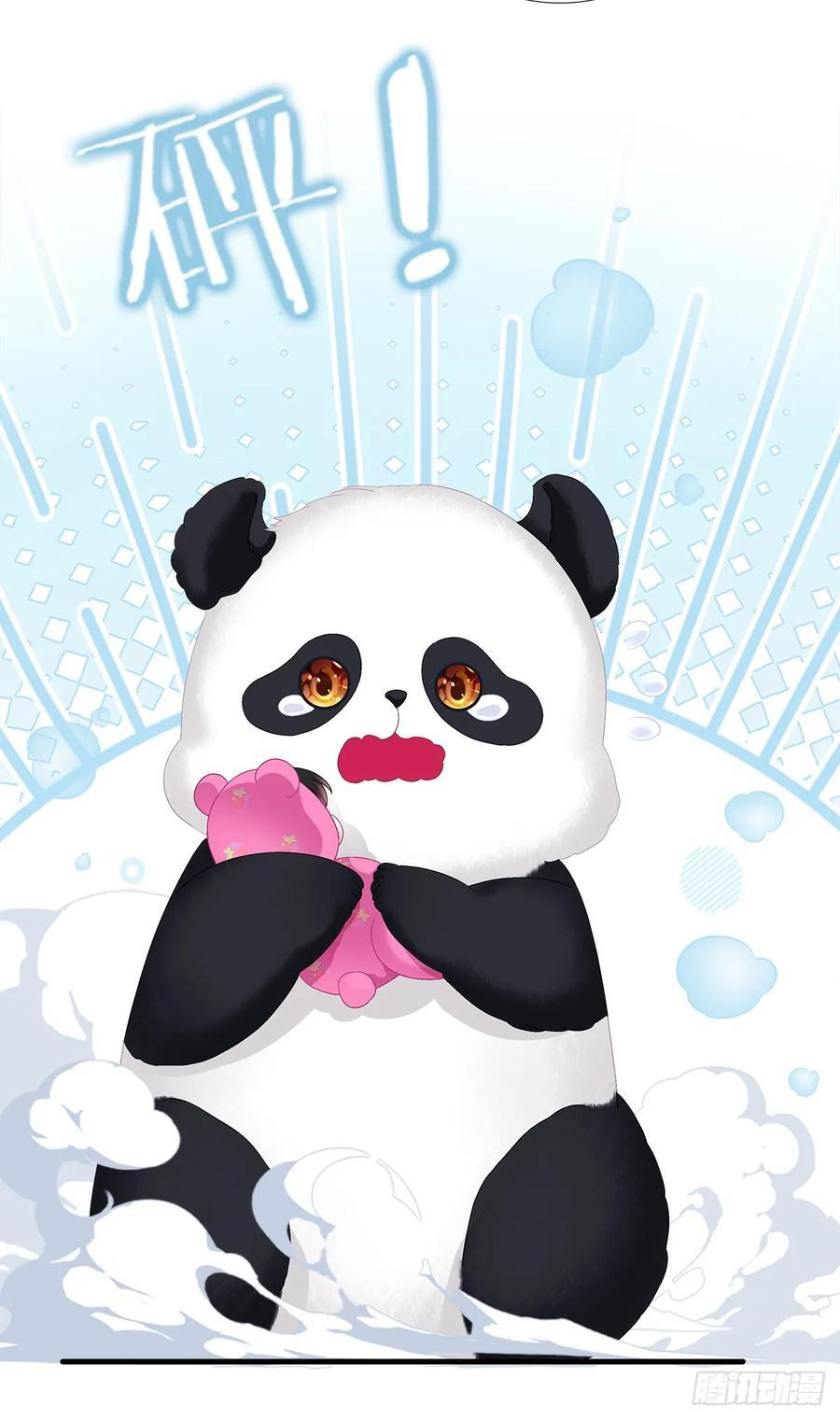 小熊猫来啦！ 第35页