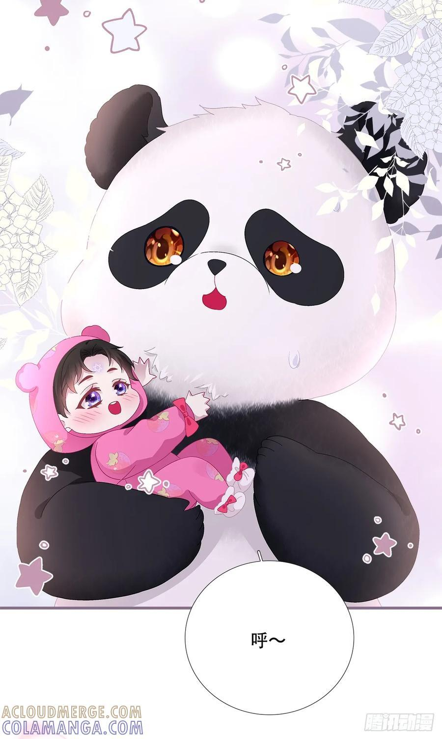 小熊猫来啦！ 第37页