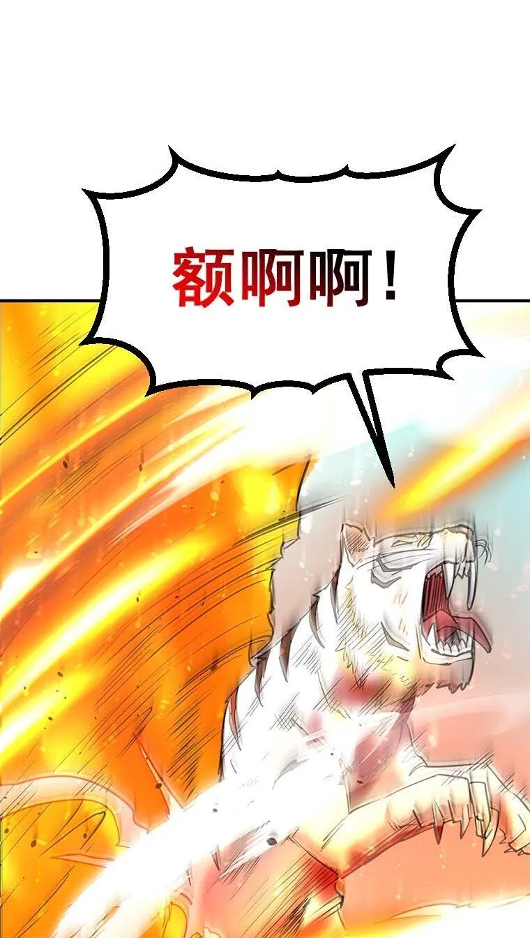 7 7 第80页