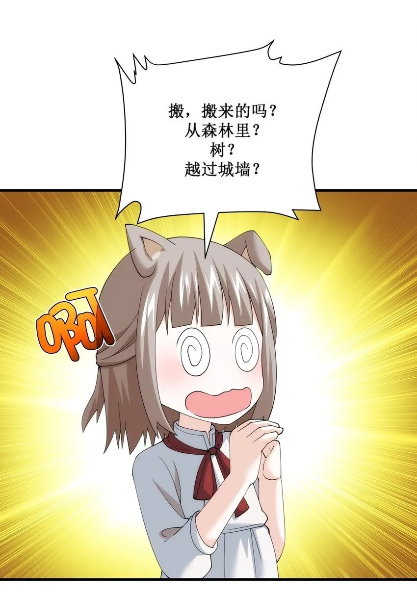 23 23 第50页
