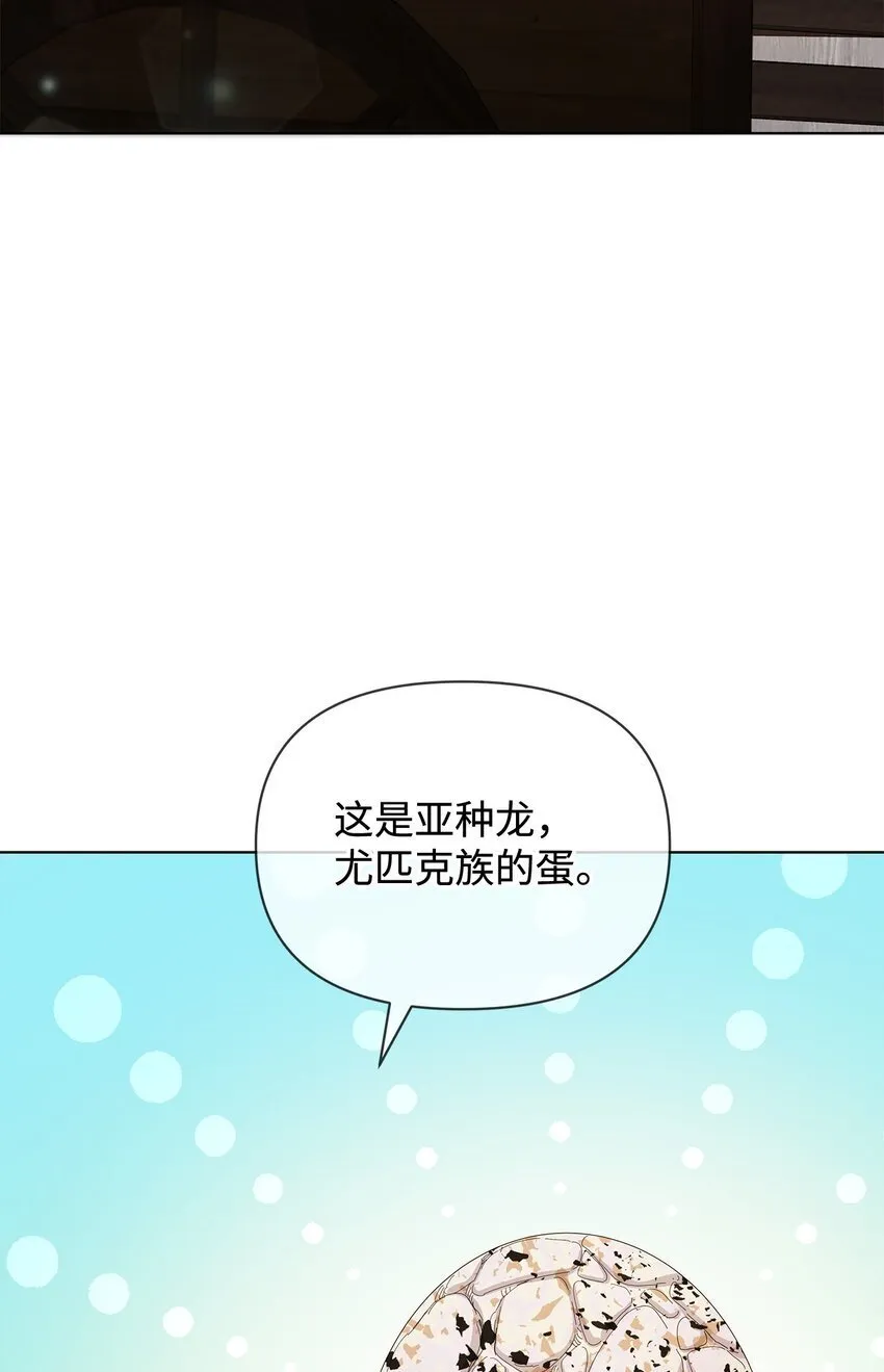 28 解剖 第32页