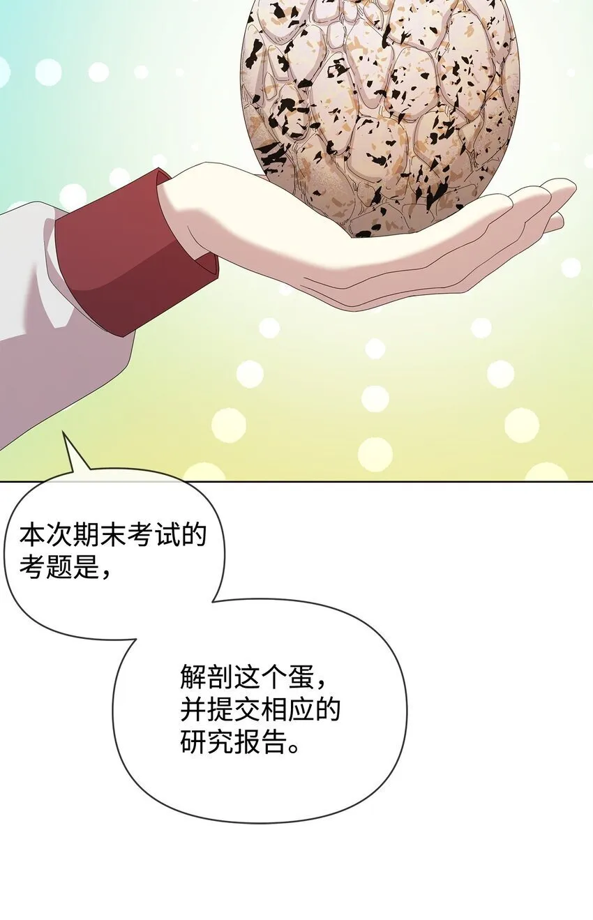 28 解剖 第33页