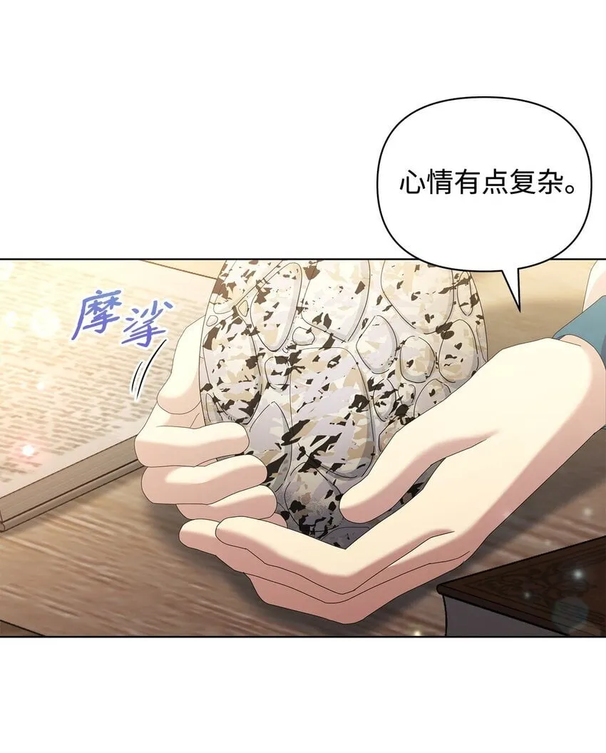28 解剖 第37页