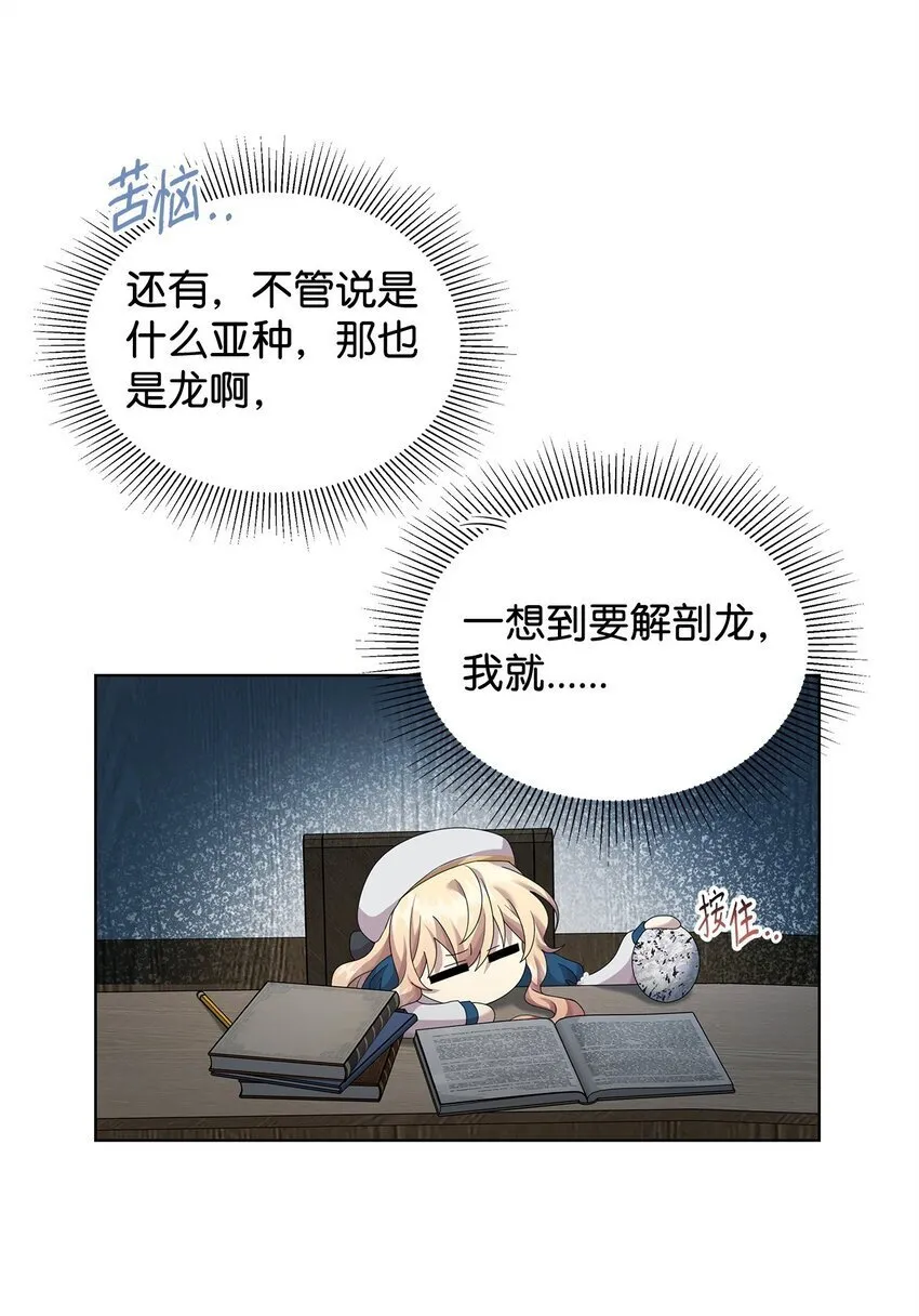 28 解剖 第42页