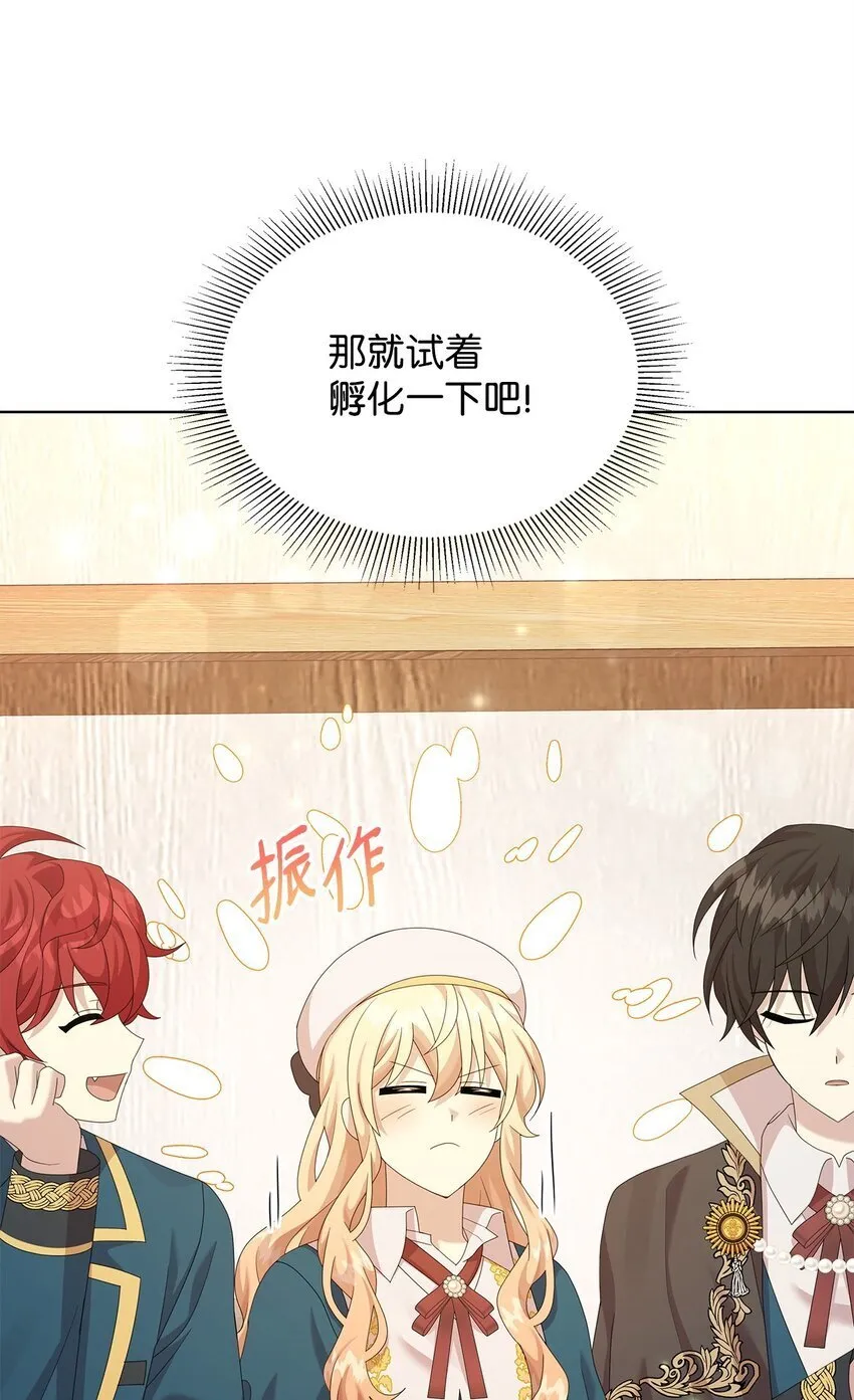 28 解剖 第47页