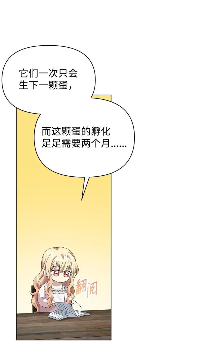 28 解剖 第53页