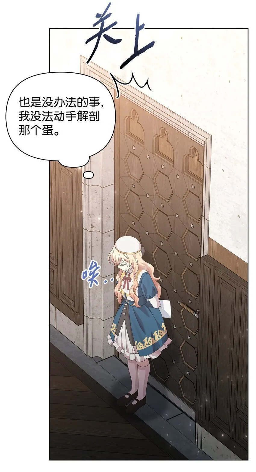 28 解剖 第62页