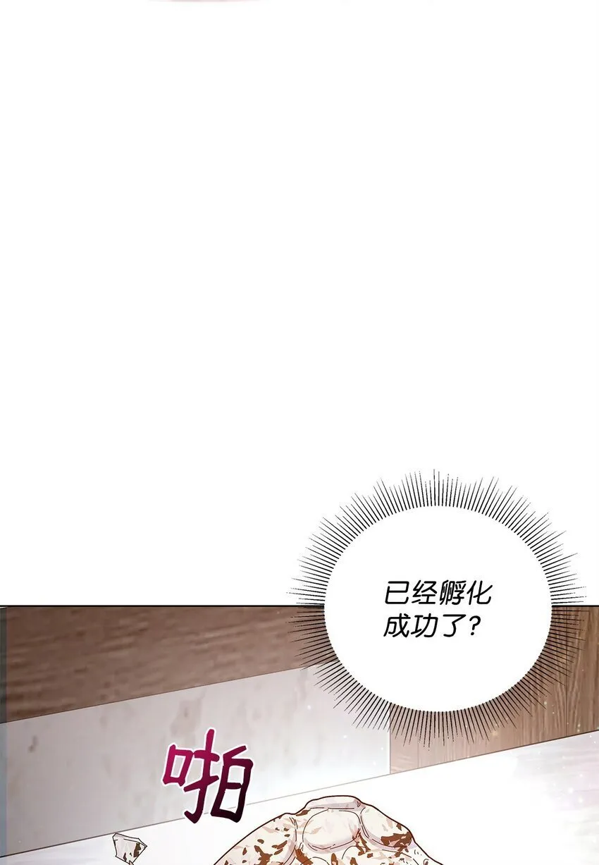 30 邀请 第13页