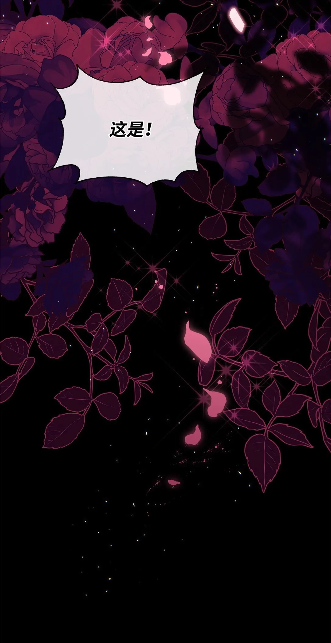 41 画像 第66页