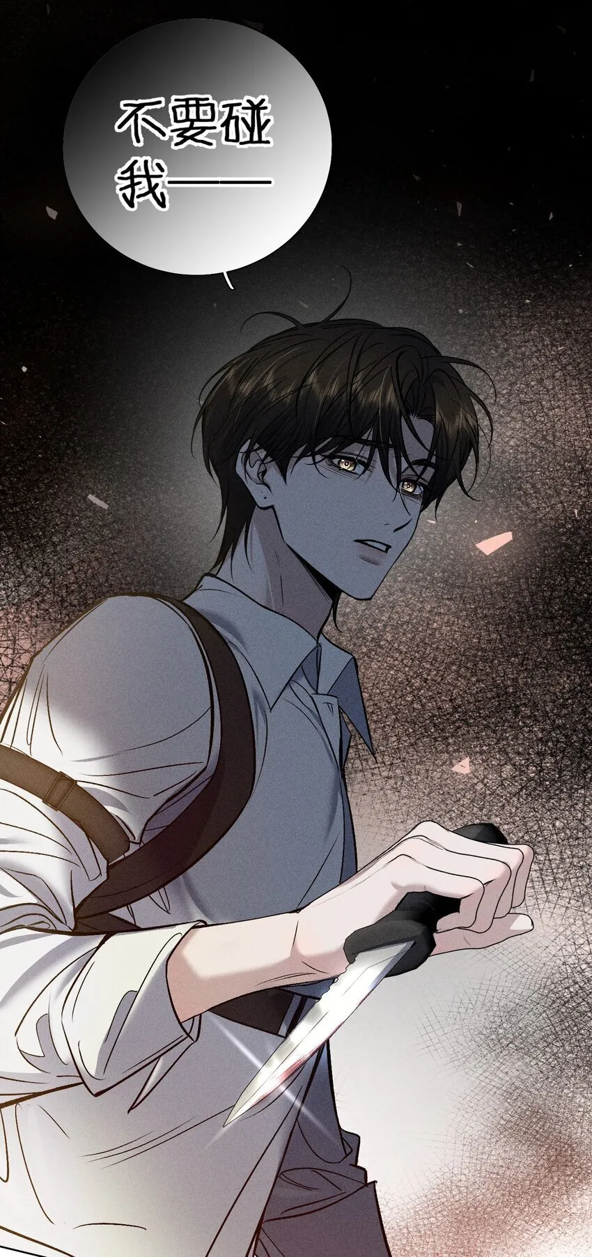 010 碰过他的人，都要付出代价 第15页