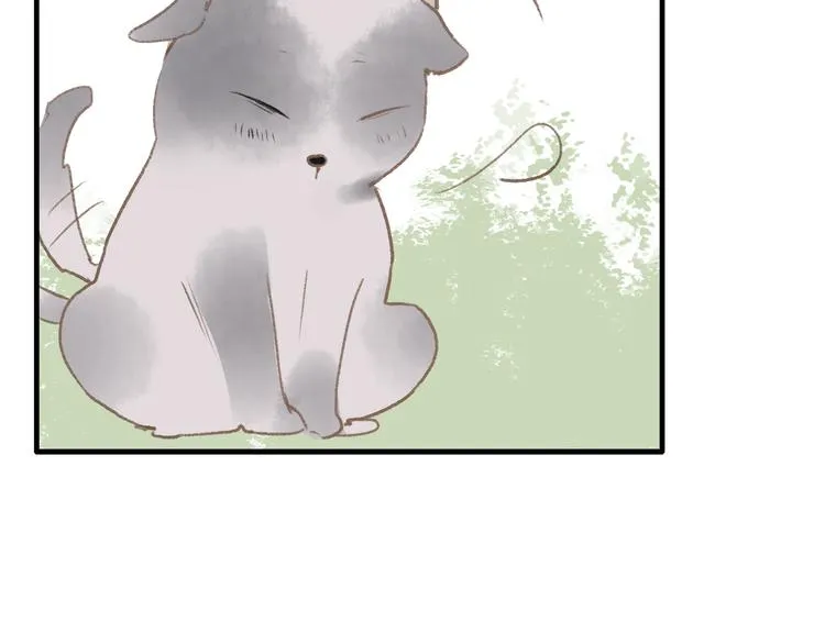 第37话 暗算 第14页