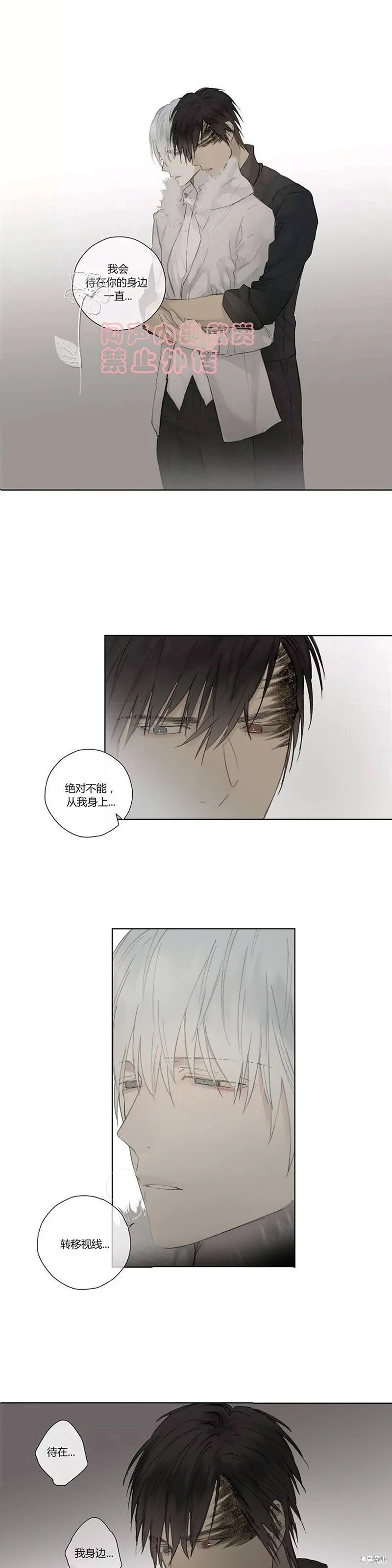 第41-43话 第13页