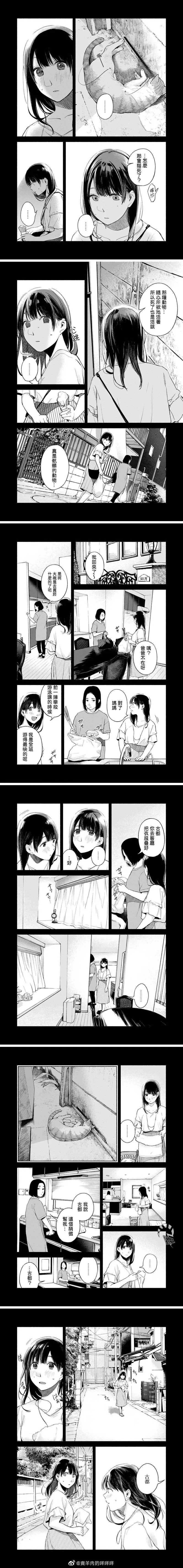 第44话 猫 第2页
