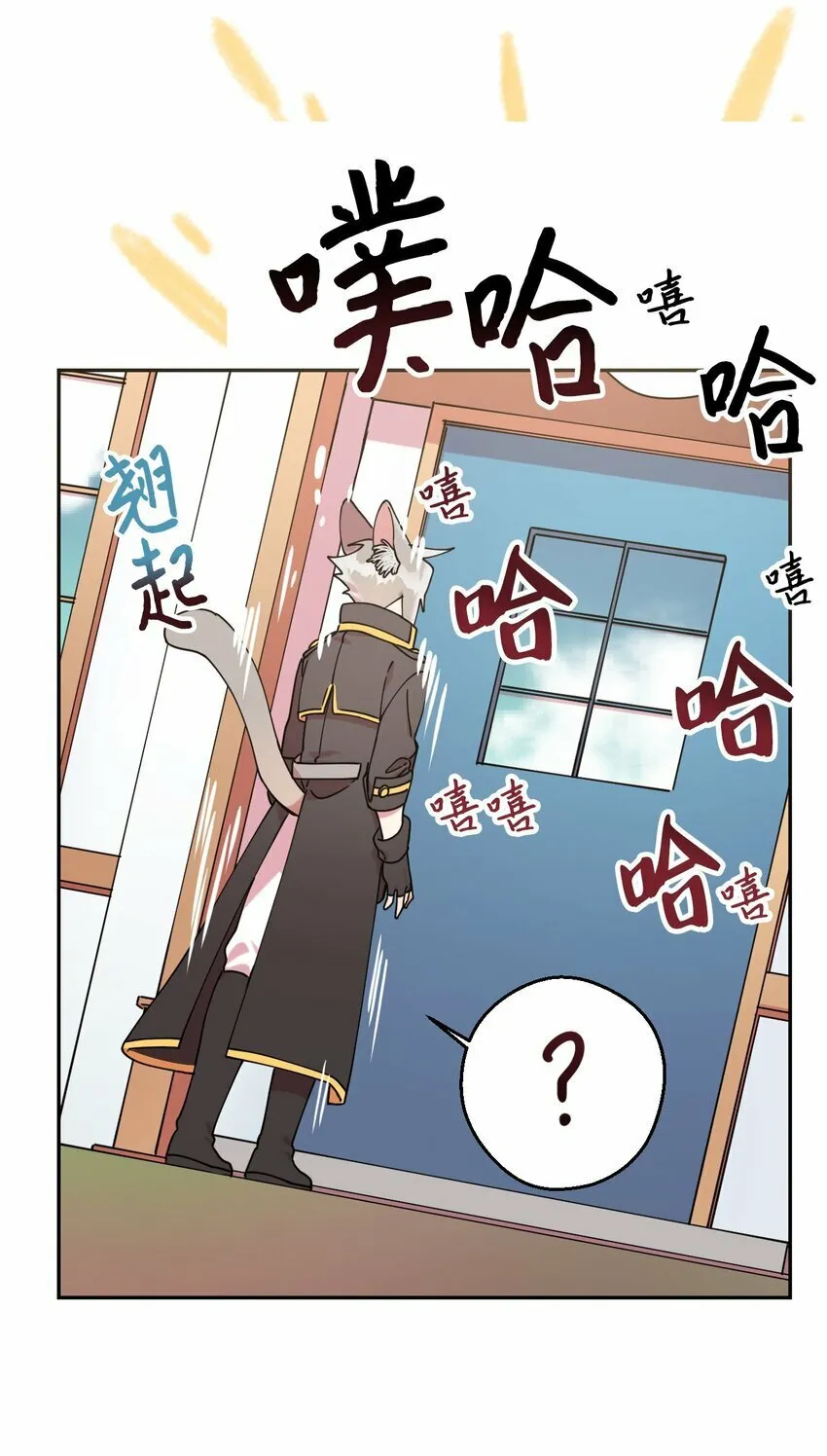 12 时装秀 第17页
