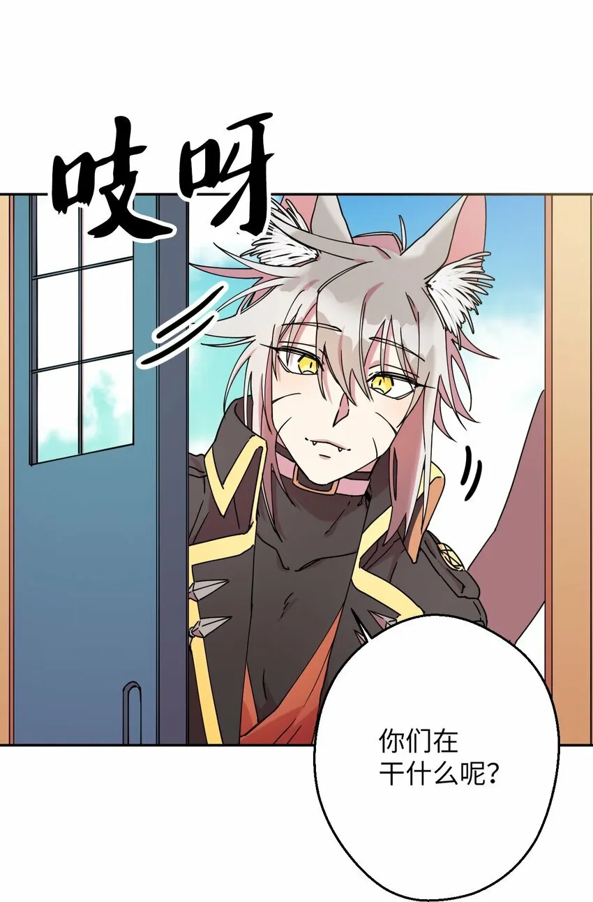 12 时装秀 第18页