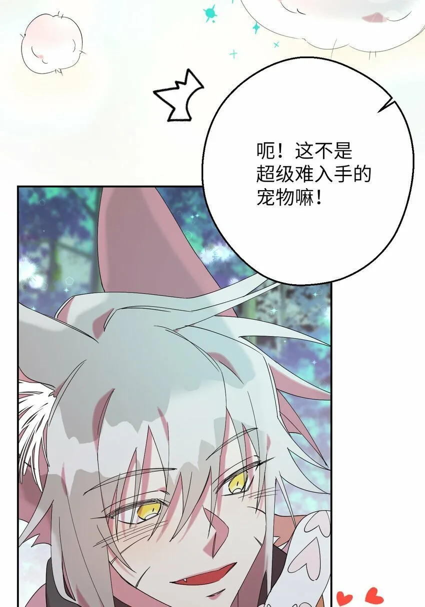 28 爱的宠物 第19页