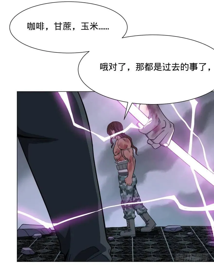 瓜岛特产 第25页
