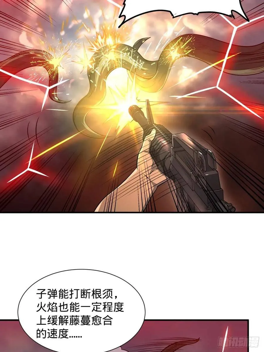 看看这阵容，我们赢定了 第25页