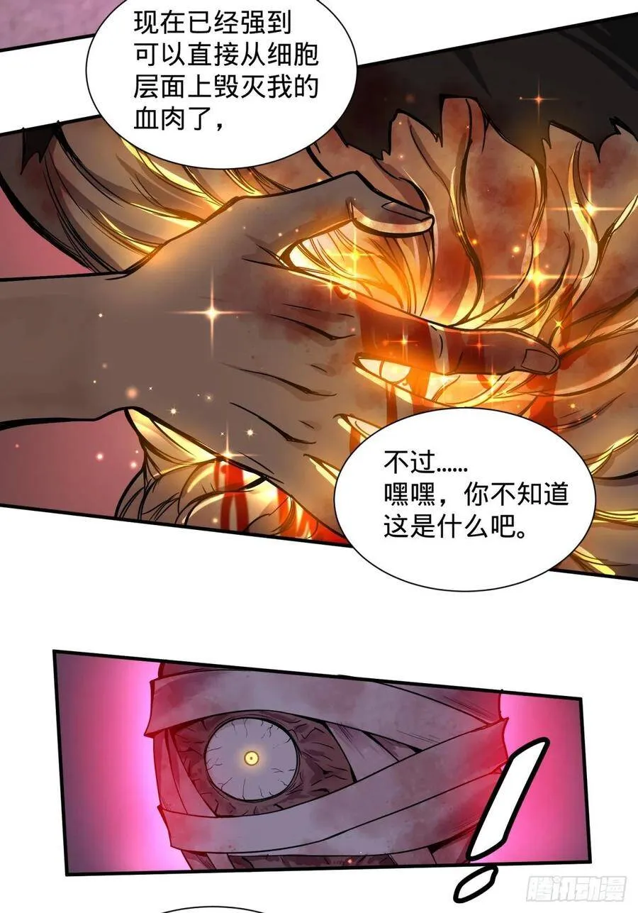 太阴炼形 第29页