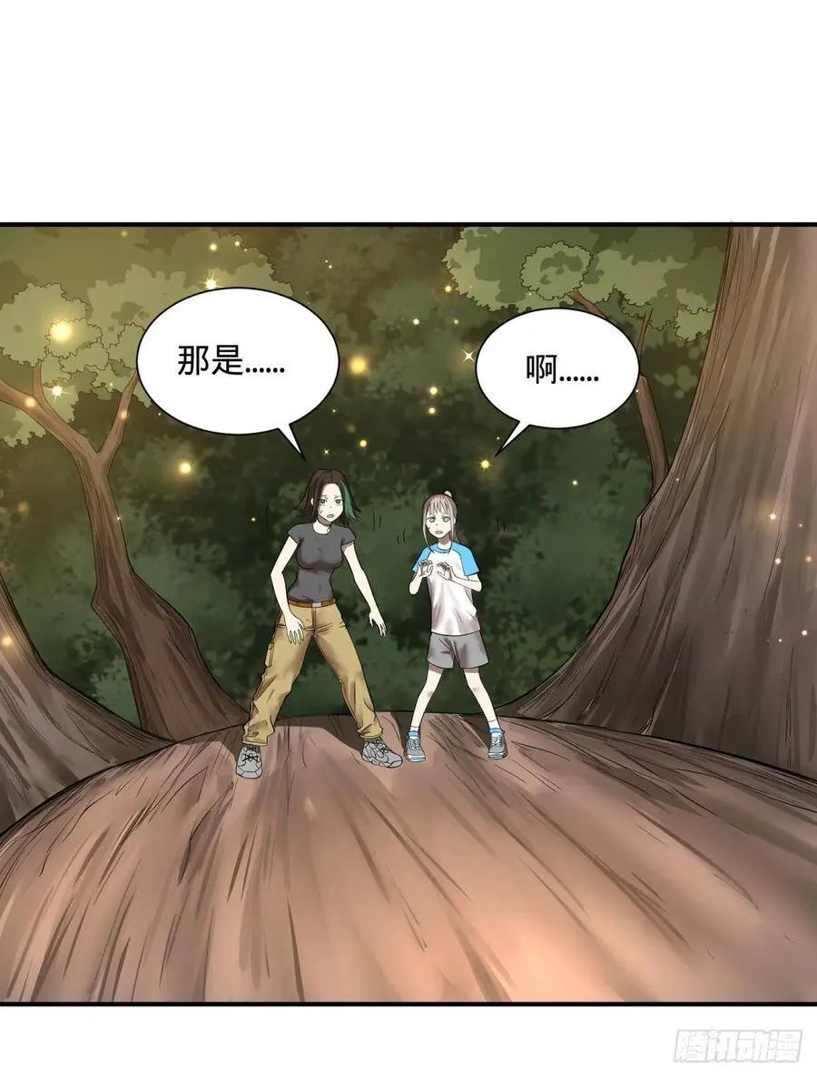 本体 第14页