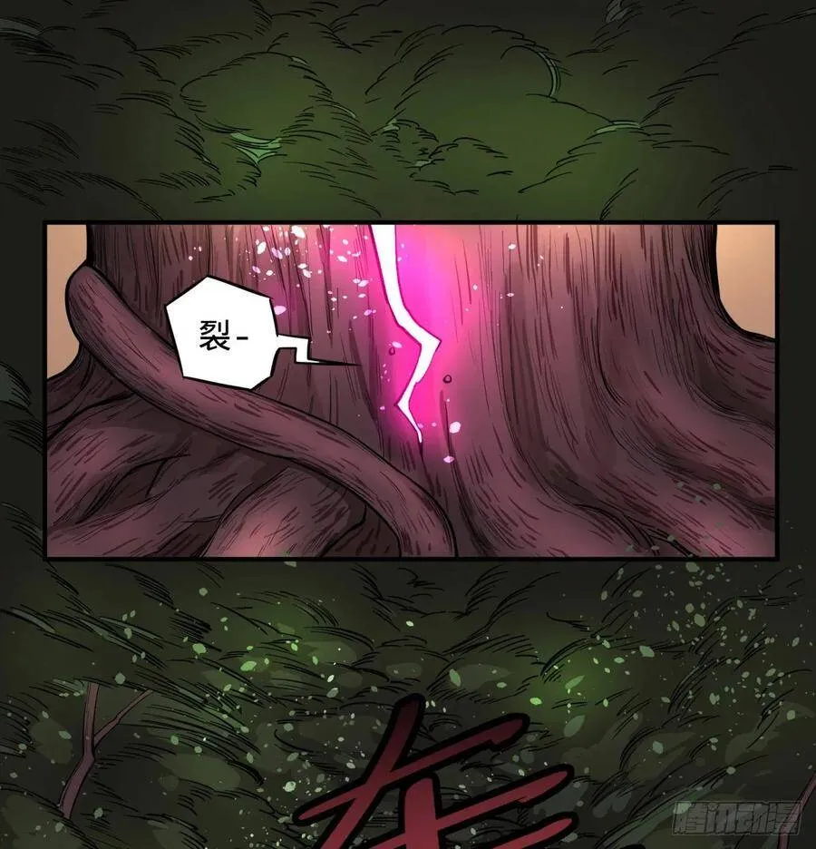 树 第15页