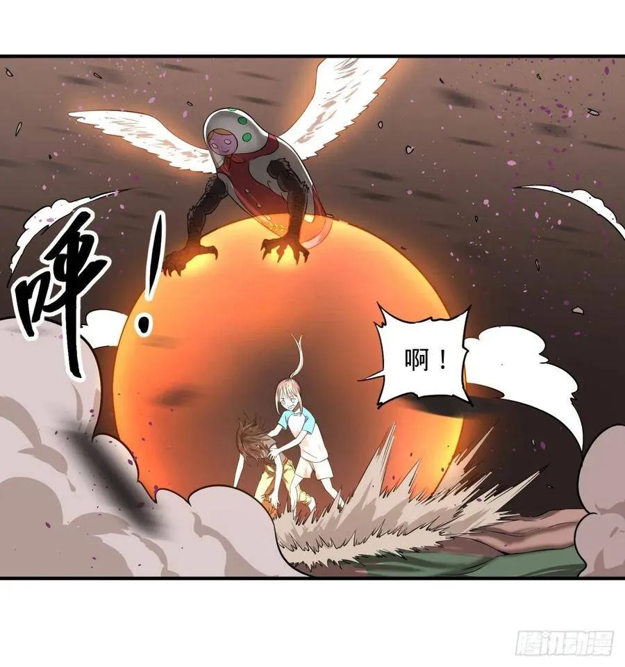 树 第23页
