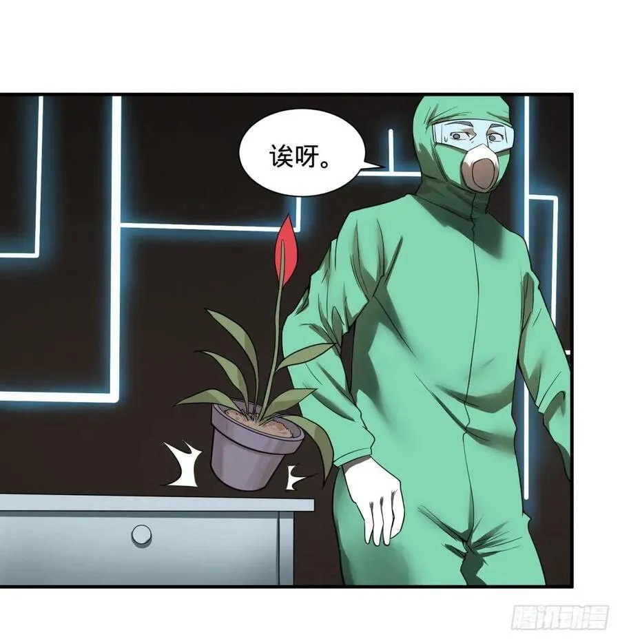 树 第38页
