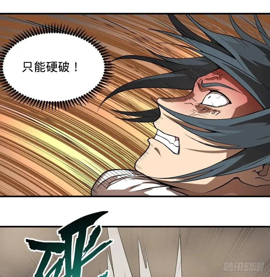 巴西柔术 第15页