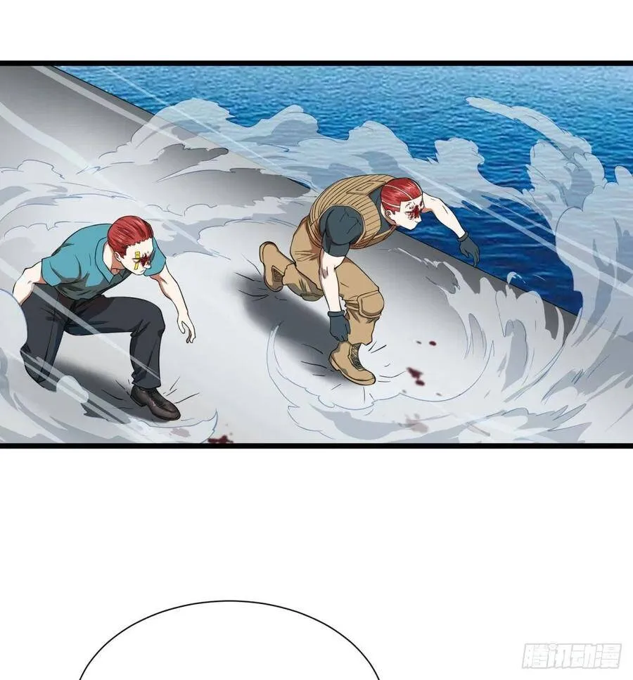 虎鹤双形拳 第43页