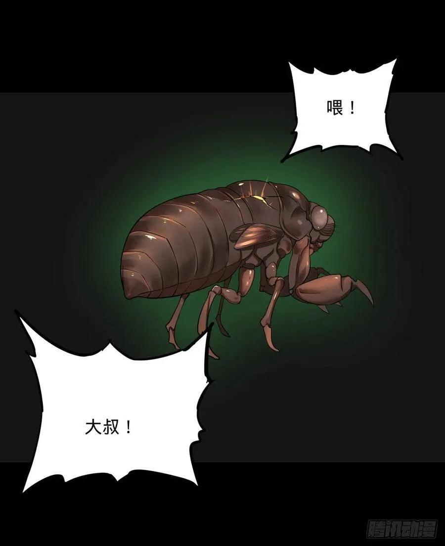 破壳 第52页