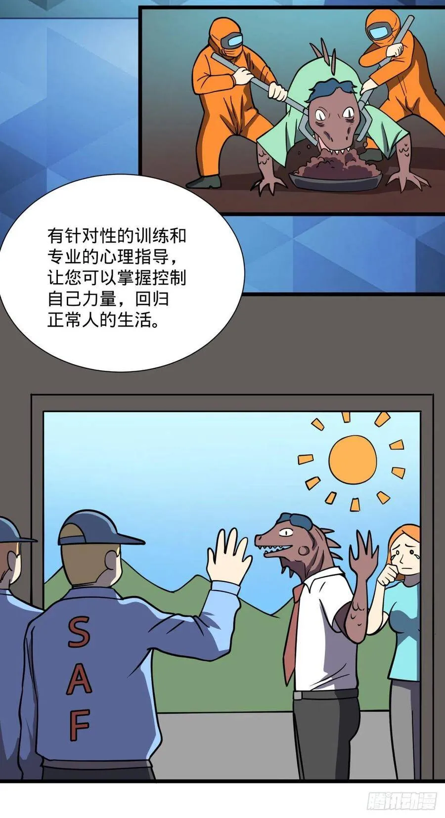 SAF内部资料 第46页