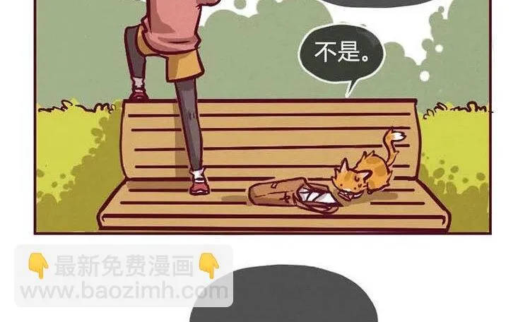 3 第二话 跟猫搭讪的下场 第2页