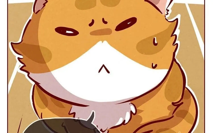 3 第二话 跟猫搭讪的下场 第9页