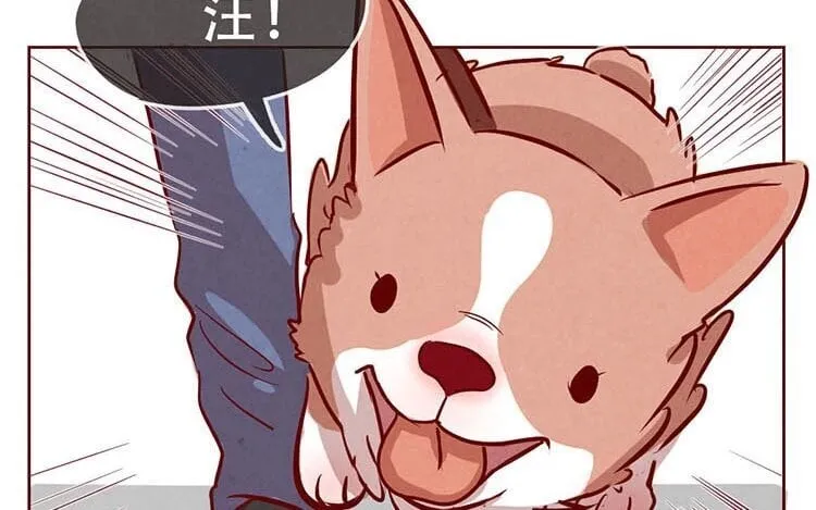 3 第二话 跟猫搭讪的下场 第36页
