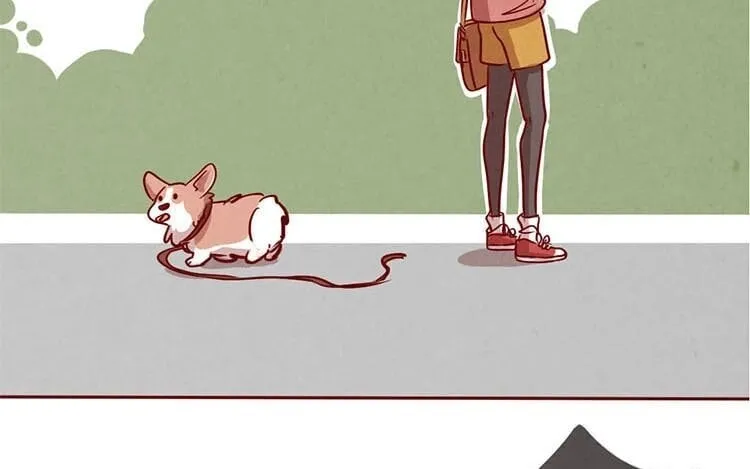 3 第二话 跟猫搭讪的下场 第49页