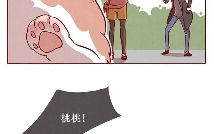 3 第二话 跟猫搭讪的下场 第51页