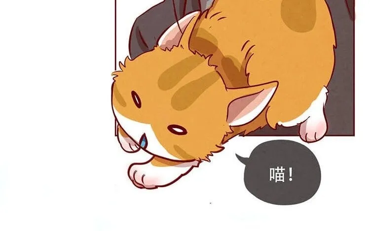 3 第二话 跟猫搭讪的下场 第53页