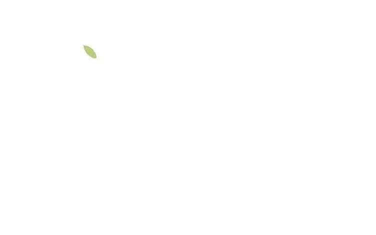 4 第三话 最后一个愿望 第81页