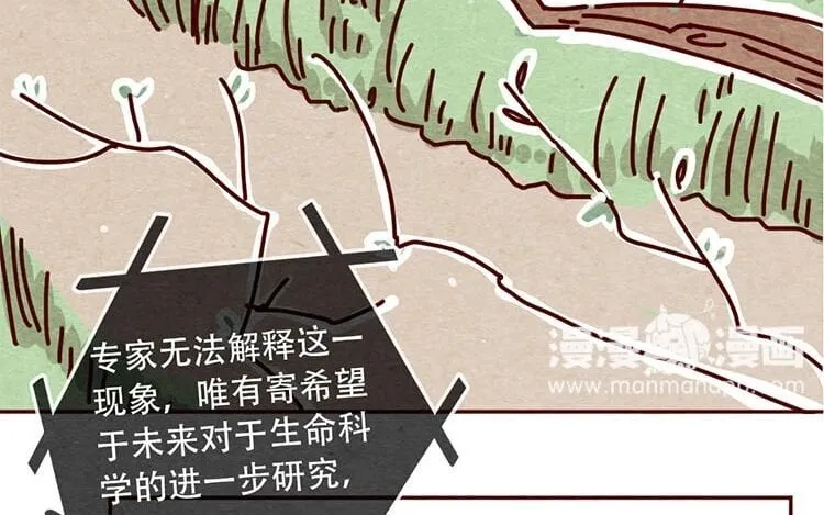 11 第十话 珍惜的人 第12页