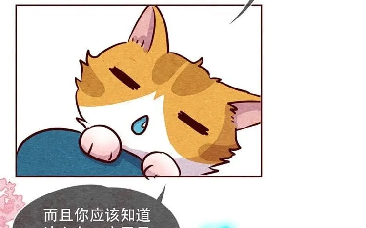 12 第十一话 我曾拥有的你 第37页