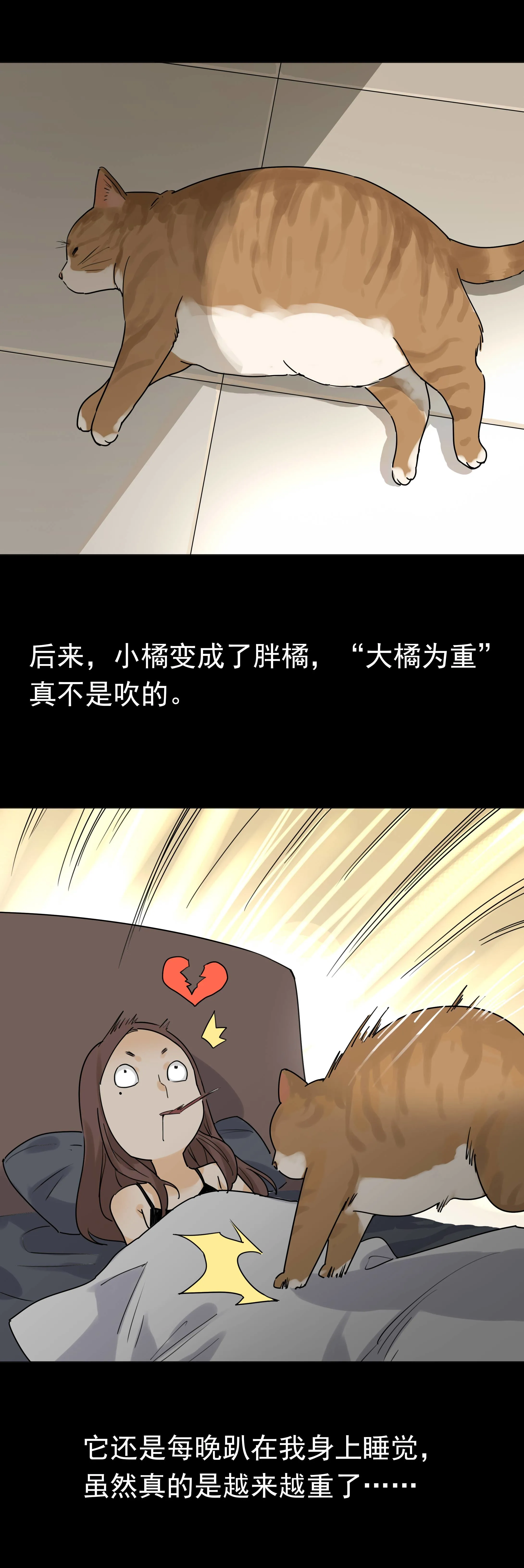 042猫咪 第3页