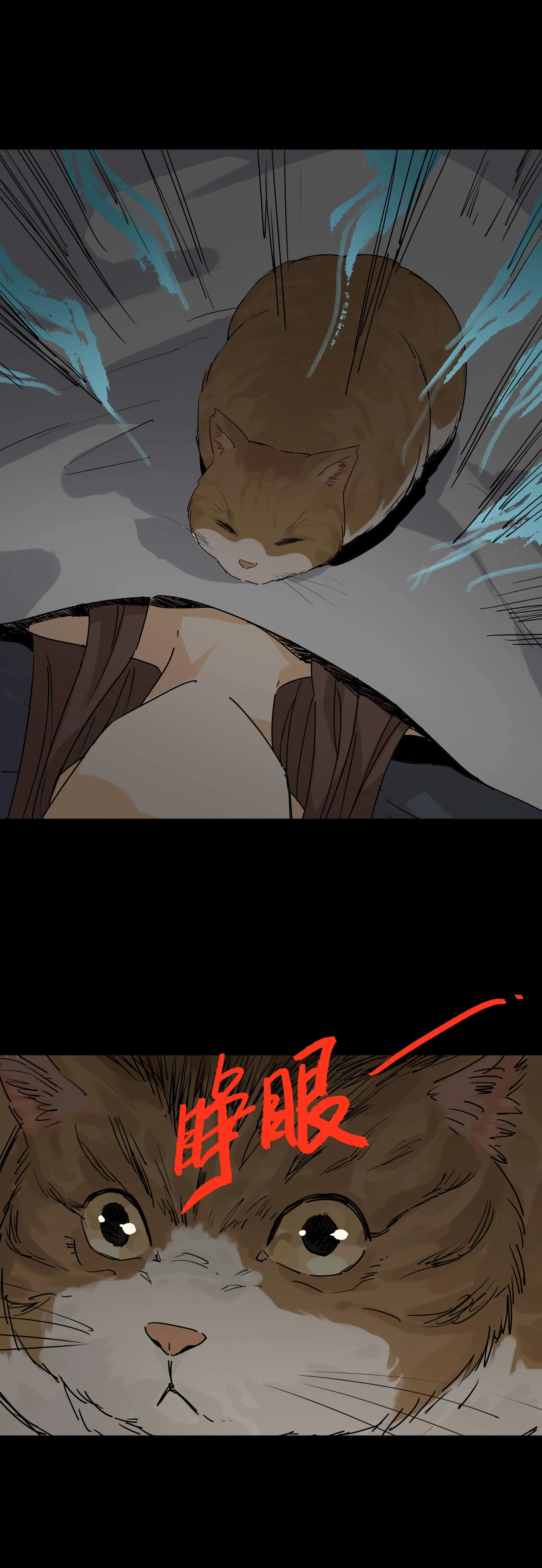 042猫咪 第6页